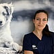 Foto di Dott.ssa Francesca Di Marco, Medico Veterinario