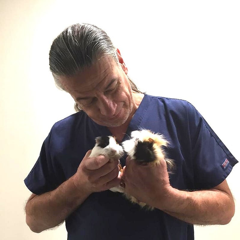 Foto di Dott. Guerreschi Giorgio, Medico Veterinario