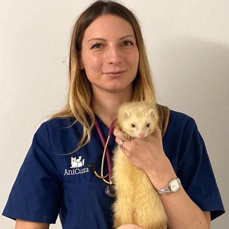 Foto di Dott.ssa Cristina Fellini, Medico Veterinario