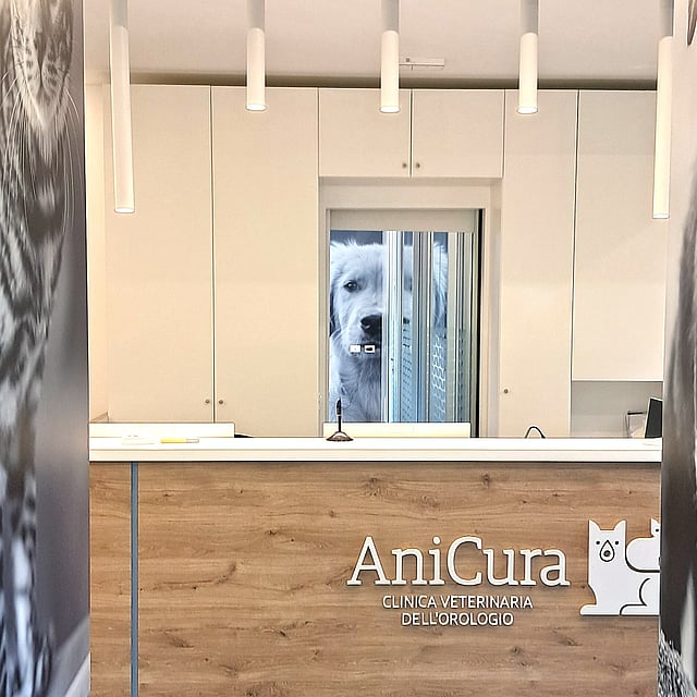 Una porta per una reception.