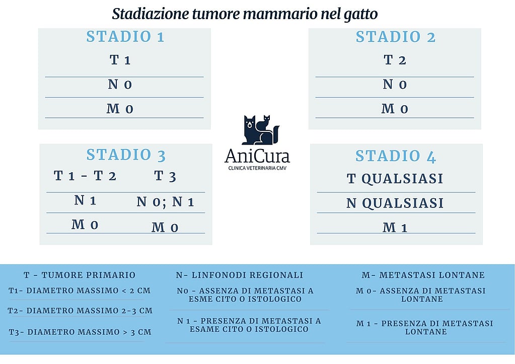 Una tabella con numeri e lettere.