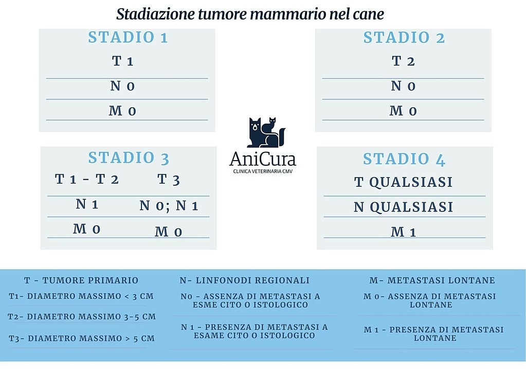 Una tabella con numeri e lettere.