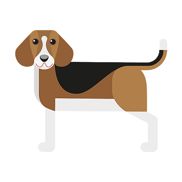 Un cane con uno sfondo nero.
