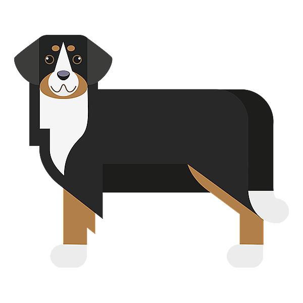 Un cane con pelo bianco e marrone.