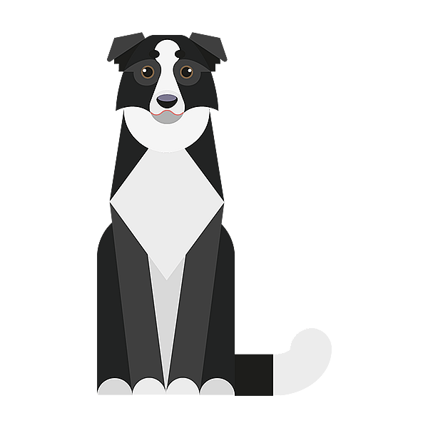 Un cane in bianco e nero.