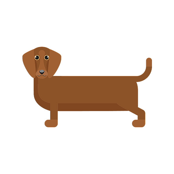 Un cane marrone con uno sfondo nero.