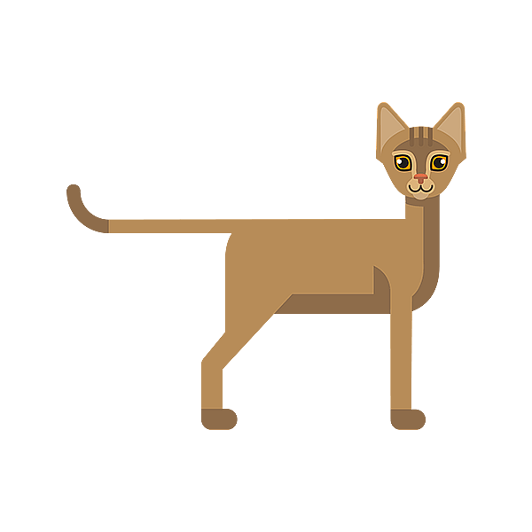 Un gatto con uno sfondo nero.