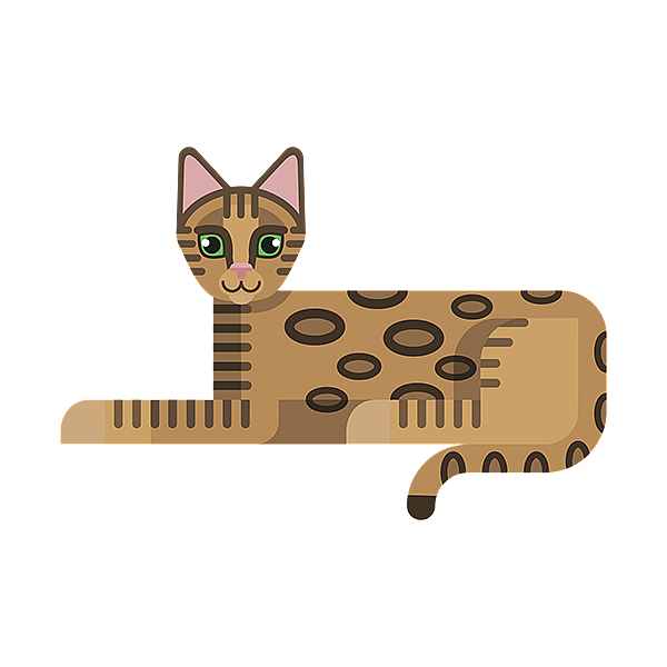 Un gatto sdraiato con uno sfondo nero.