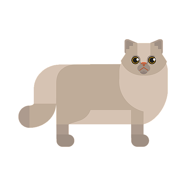 Un gatto con una faccia triste.