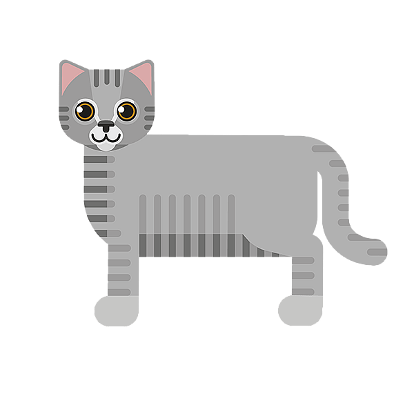 Un gatto grigio con sfondo nero.