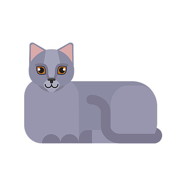 Un gatto sdraiato su uno sfondo nero.