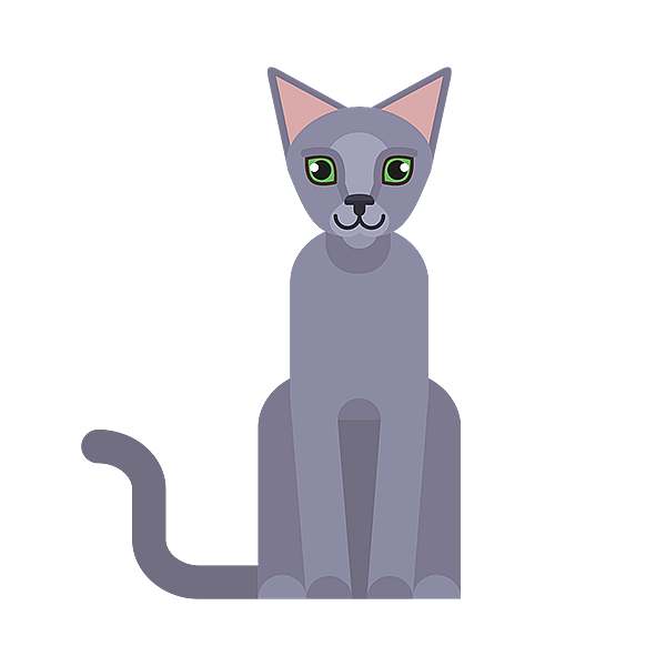 Un gatto seduto su uno sfondo nero.