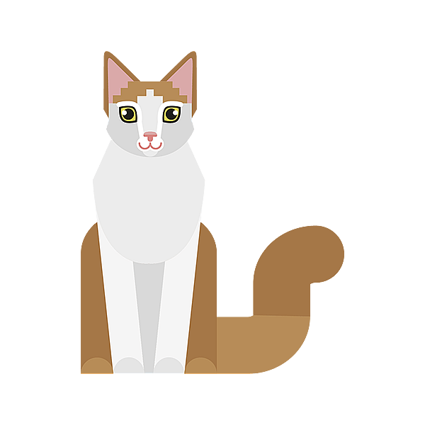 Un gatto seduto su uno sfondo nero.
