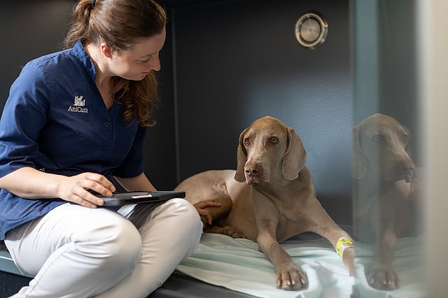 Una persona seduta su un letto con un cane.