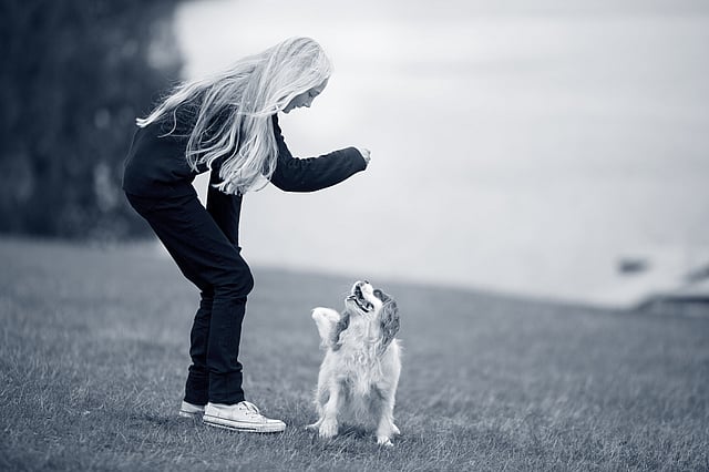 Una persona che gioca con un cane.