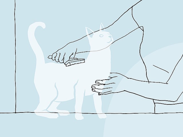 Un disegno di un gatto.