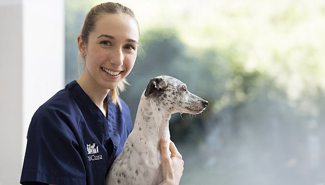 Una persona che tiene in braccio un cane.