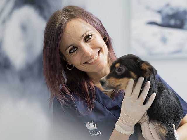 Una persona che tiene in braccio un cane.