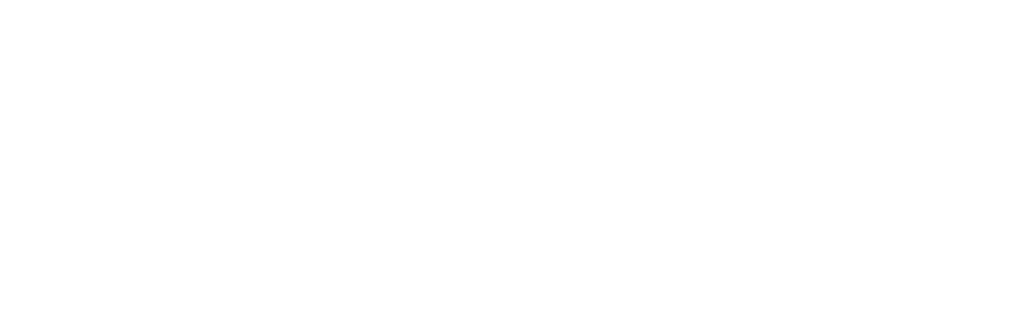 Clinica Veterinaria San Siro logo