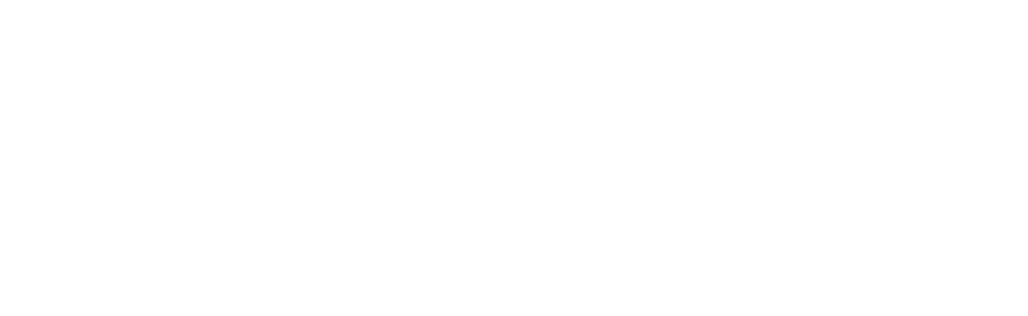 Clinica Veterinaria Tibaldi logo