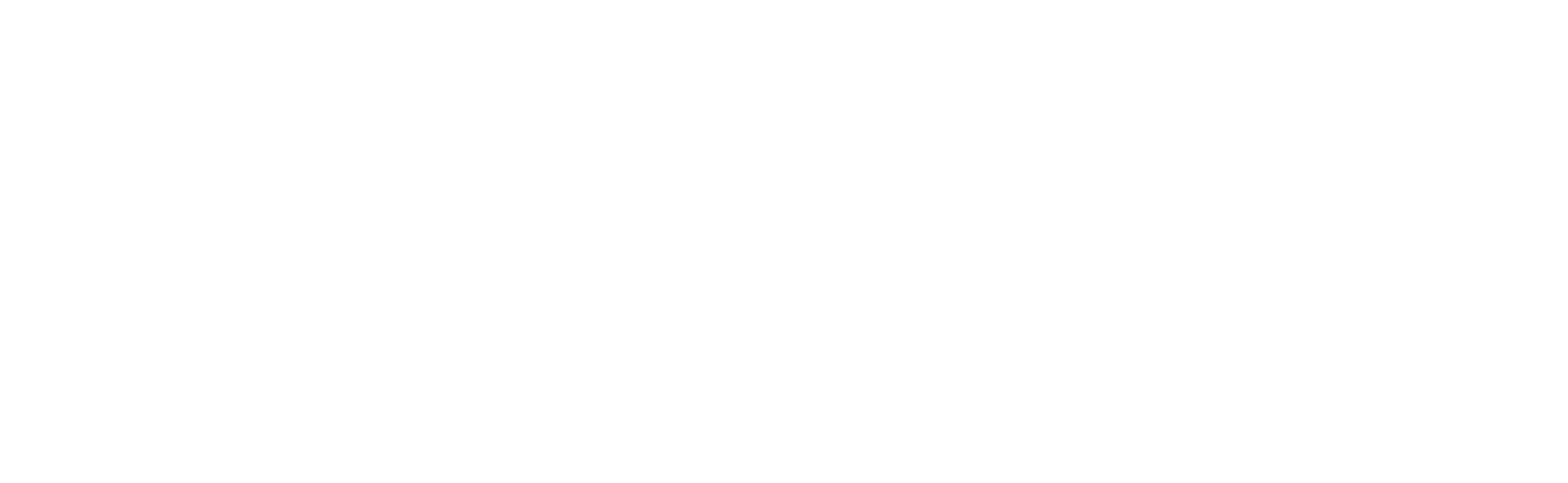 Clinica Veterinaria dell'Orologio logo
