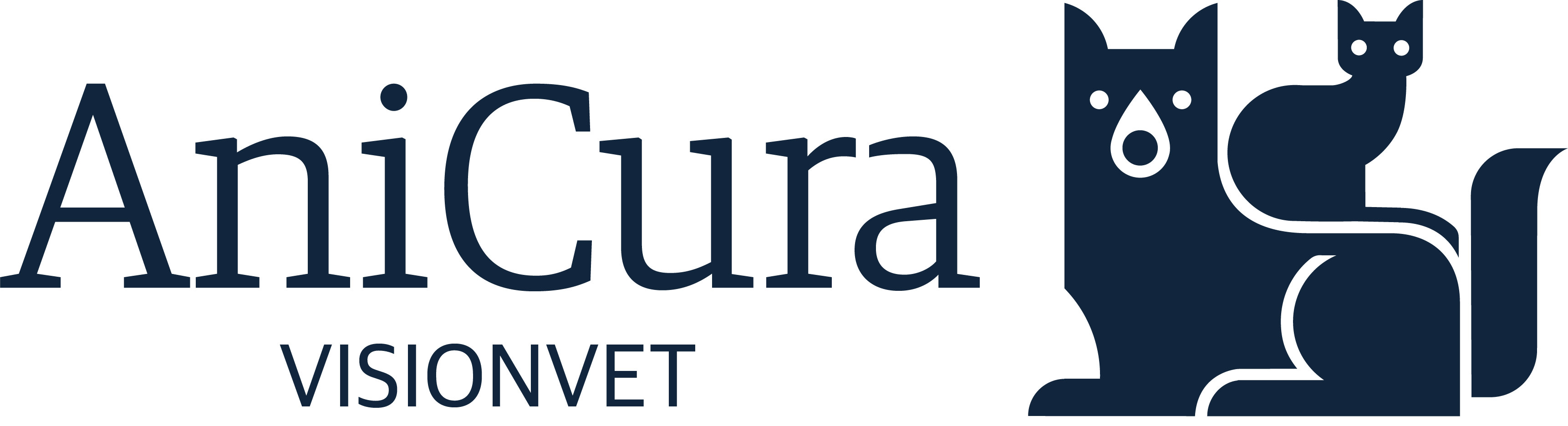 Visionvet logo