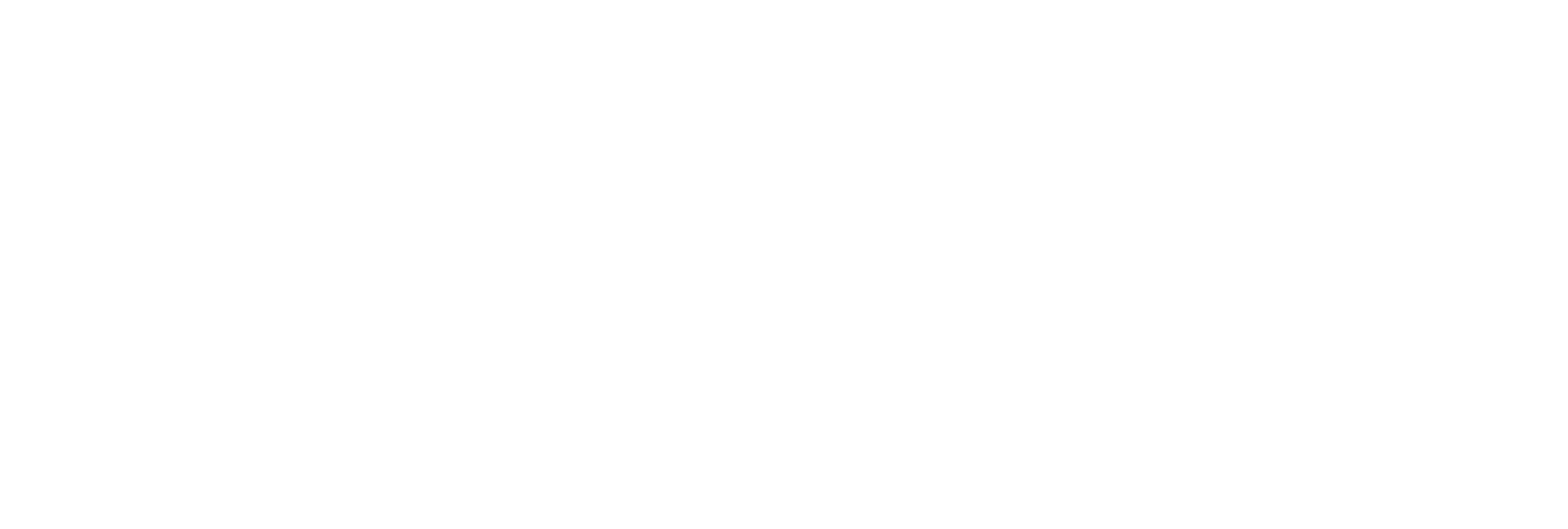 AniCura Centro Polispecialistico Chiesanuova logo