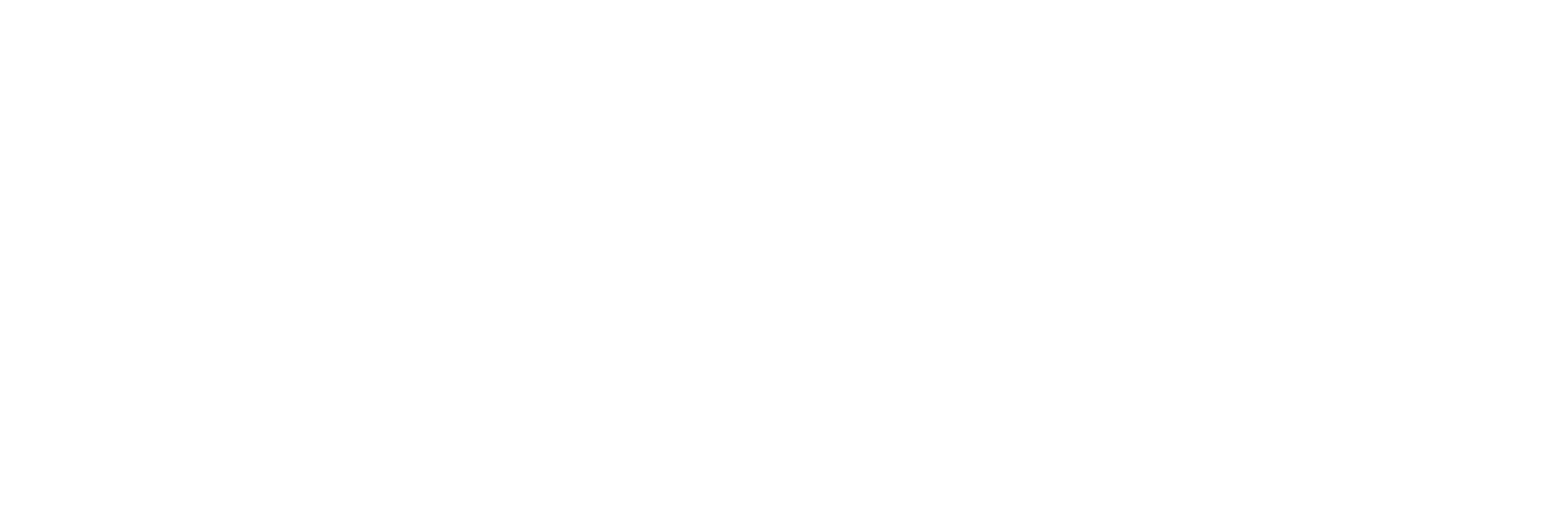 Ospedale Veterinario H24 Abruzzo logo