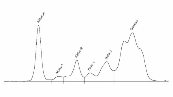 Un grafico di un numero di alfa e beta.