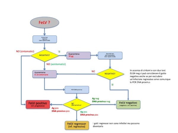 Un diagramma di un DNA.