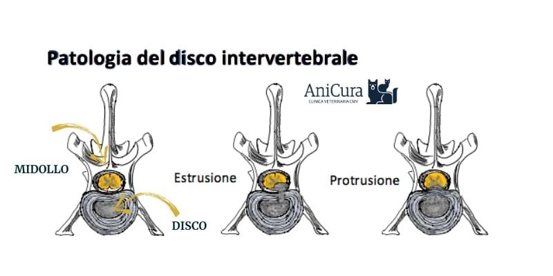 Diagramma di un diagramma di una discoteca.
